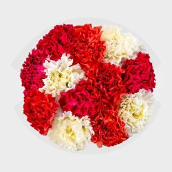 Mother's Day Carnation Bunch - Good Little Garden™