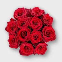 Mother's Day Roses Red - Good Little Garden™