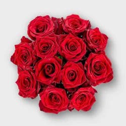 Mother's Day Roses Red - Good Little Garden™