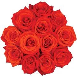 Mother's Day Roses Orange - Good Little Garden™