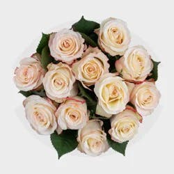Mother's Day Roses Novelty - Good Little Garden™