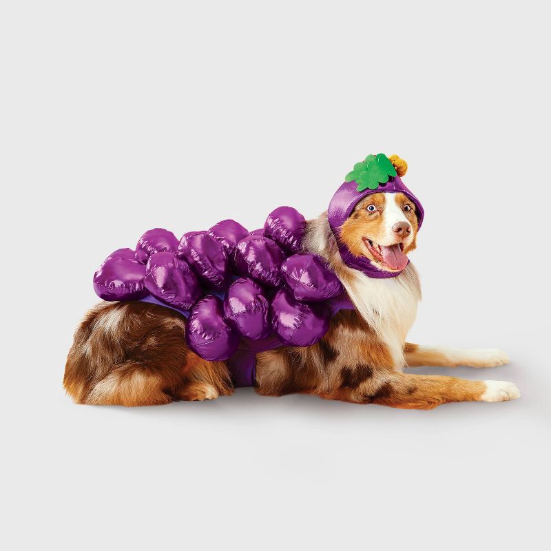 slide 1 of 3, Dog Grape Full Body Costume - Boots & Barkley™ L, 1 ct