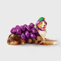 Dog Grape Full Body Costume - Boots & Barkley™ L
