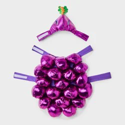 Dog Grape Full Body Costume - Boots & Barkley™ XS