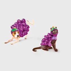 Dog Grape Full Body Costume - Boots & Barkley™ S
