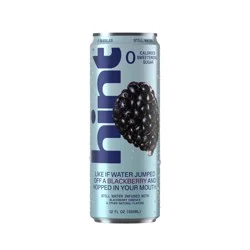 hint Blackberry Flavoured Still Water - 12 fl oz Can