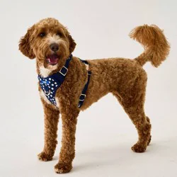 Hooray House Comfort Knit Harness - Navy Dot M