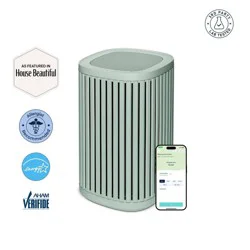 Windmill Air Windmill Compact Air Purifier for Home 3-in-1 Filtration Ultra-Quiet True HEPA Medical Grade Covers Up To 975 sq ft Sage Green