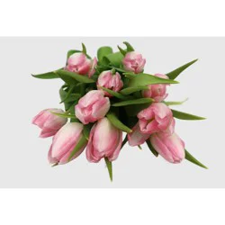 Good Little Garden Fresh Cut Pink Tulips - 10 Stems