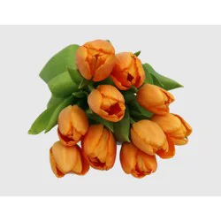 Good Little Garden Fresh Cut Orange Tulips - 10 Stems