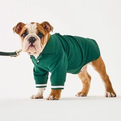 Hooray House Country Club Polo - Green S