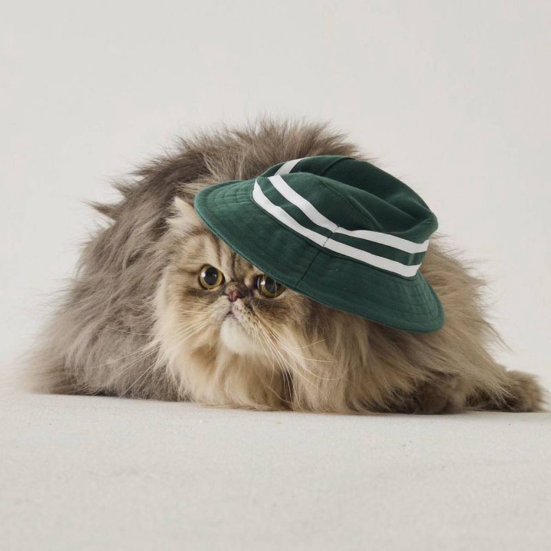 slide 1 of 10, Hooray House Golf Hat - Green M/L, 1 ct