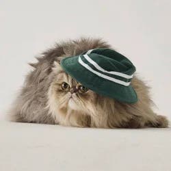 Hooray House Golf Hat - Green M/L