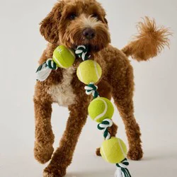 Hooray House Tennis Ball Rope Tug Toy