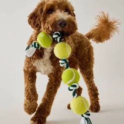 Hooray House Tennis Ball Rope Tug Toy