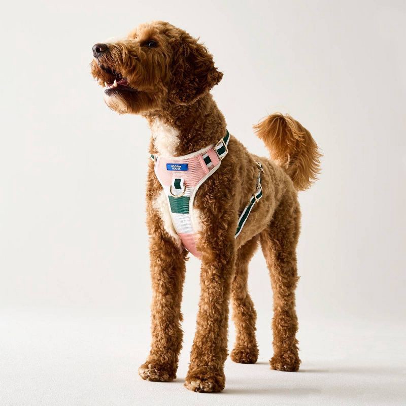 slide 1 of 10, Hooray House Performance Mesh Dog Harness - Pink M, 1 ct