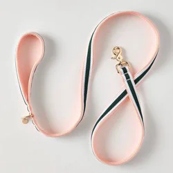 Hooray House 5' Leash - Pink Mesh