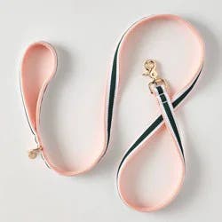 Hooray House 5' Leash - Pink Mesh