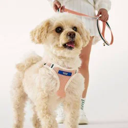 Hooray House Performance Mesh Dog Harness - Pink XS