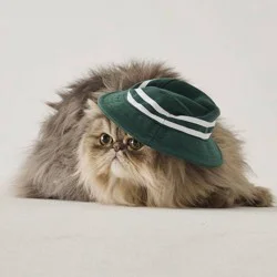 Hooray House Golf Hat - Green XS/S