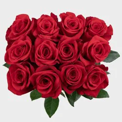 Dozen Premium Red Fresh Cut Roses - Good Little Garden™