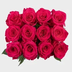 Dozen Premium Pink Fresh Cut Roses - Good Little Garden™