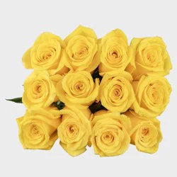 Dozen Premium Yellow Fresh Cut Roses - Good Little Garden™
