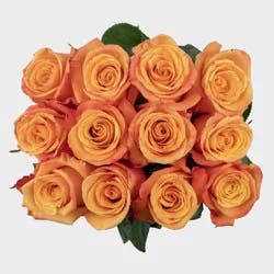 Dozen Premium Fresh Cut Orange Roses - Good Little Garden™