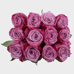 Dozen Premium Novelty Fresh Cut Roses - Good Little Garden™
