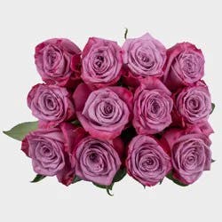 Dozen Premium Novelty Fresh Cut Roses - Good Little Garden™