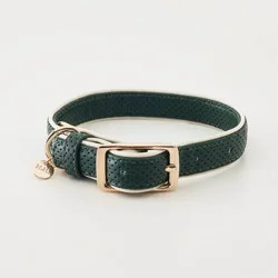 Hooray House Moto Vegan Leather Dog Collar - Green S