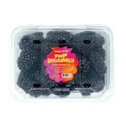 Fresh SugarWild Jumbo Blackberries - 9.8oz