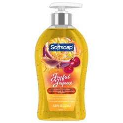 Softsoap Joyful Cherry & Passion Fruit Scent Hand Soap 11.25 fl oz