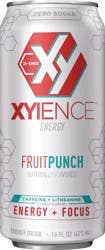 XYIENCE Fruit Punch Energy Drink, 16 fl oz can