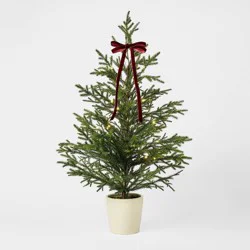 Threshold designed w/Studio McGee 30" Lit Norfolk Pine Christmas Tree - Threshold™ designed with Studio McGee