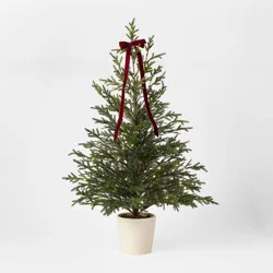 Threshold designed w/Studio McGee 40" Lit Norfolk Pine Christmas Tree - Threshold™ designed with Studio McGee