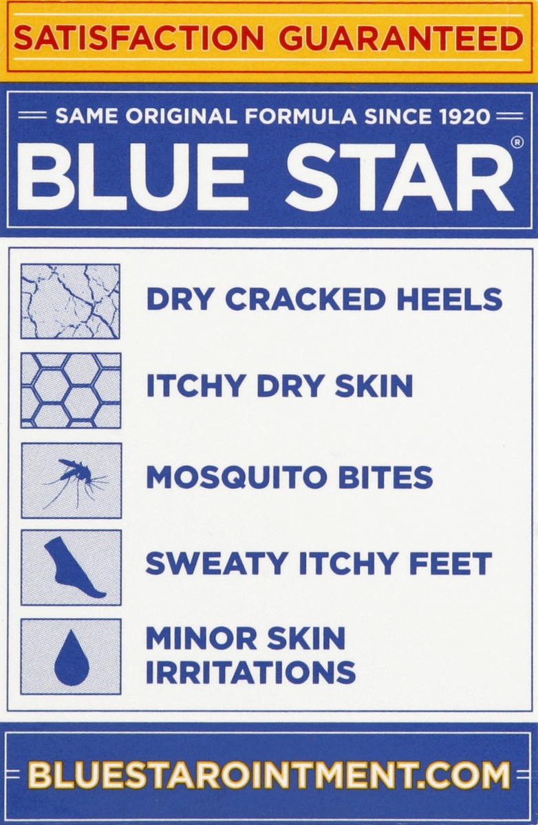 slide 6 of 6, Blue Star Anti-Itch Medicated Ointment, 2 Oz, 1 ct