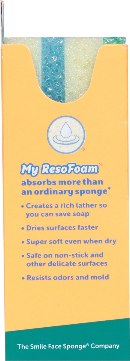 slide 9 of 11, Sponge Daddy Dual-Sided Sponge + Scrubber 2 ea, 1 ct