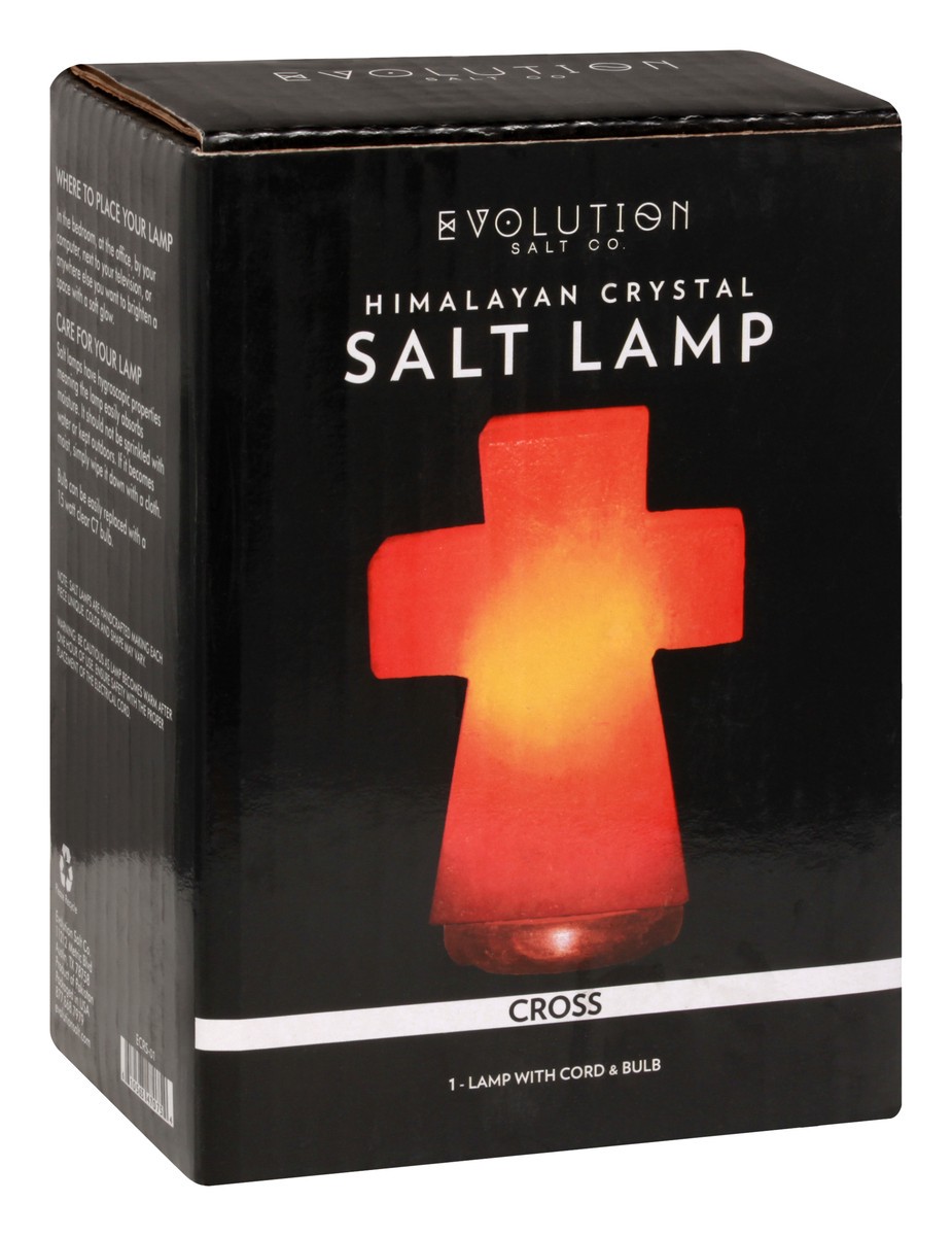 slide 7 of 11, Evolution Salt Salt Lamp 1 ea, 1 ct