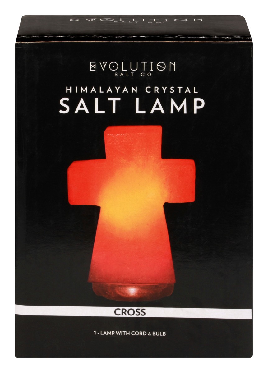 slide 1 of 11, Evolution Salt Salt Lamp 1 ea, 1 ct