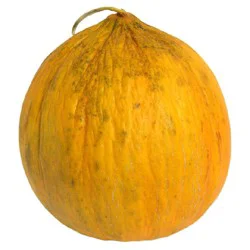 Casaba Melon