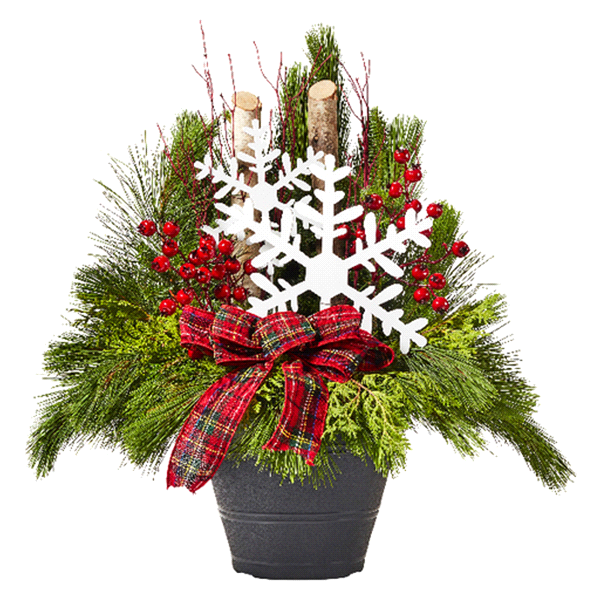 slide 1 of 1, Fresh Mixed Evergreens Arrangement with Birch Poles, Snowflakes & Bow, 12" planter, 12 in