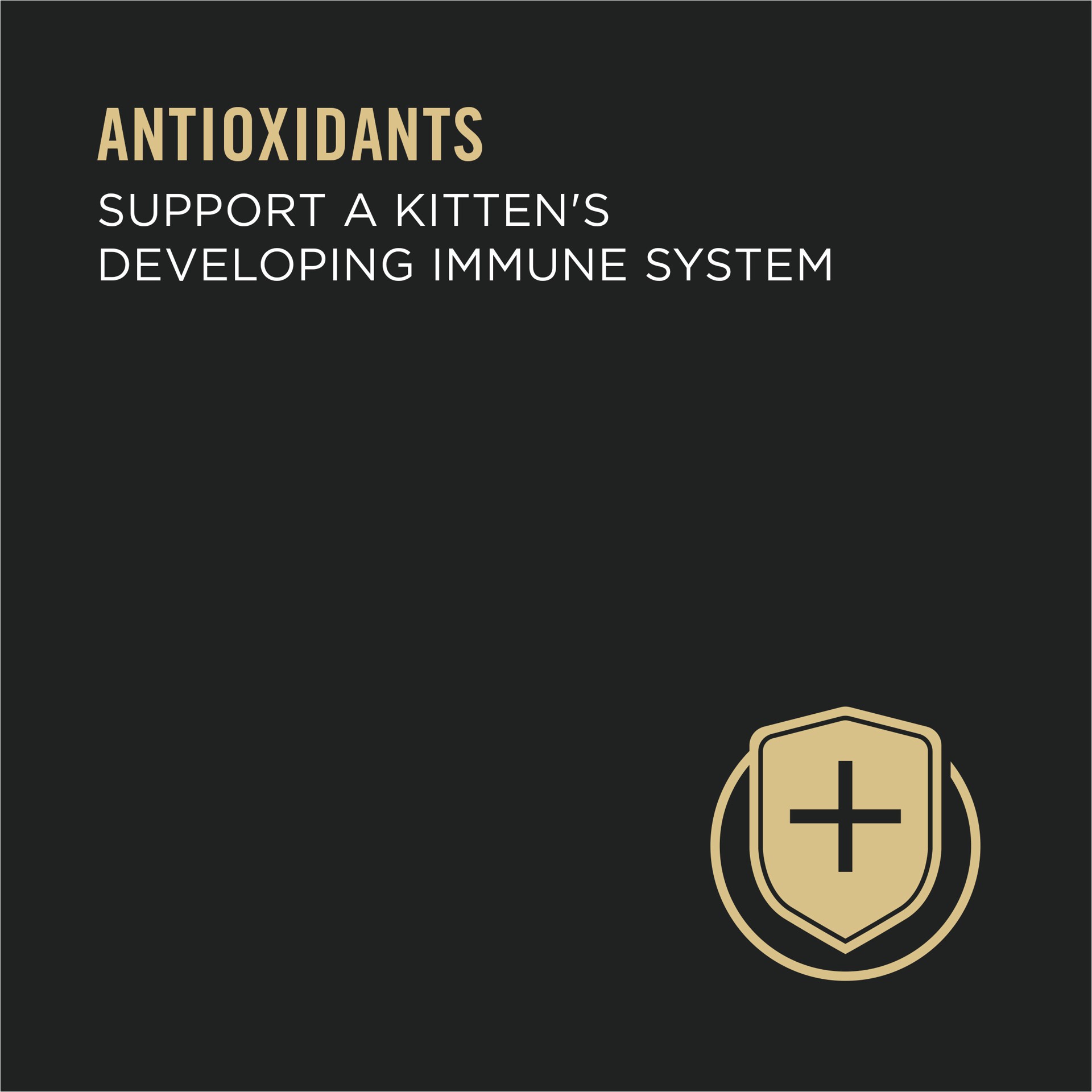 slide 2 of 8, Purina Pro Plan Grain Free Pate Wet Kitten Food, Chicken Entree, 3 oz