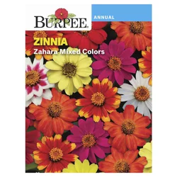 Burpee Zinnia, Zahara Mix