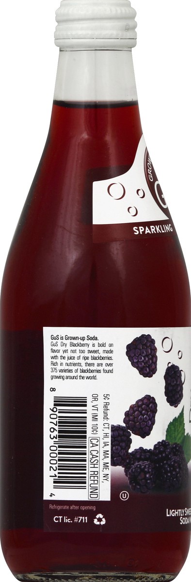 slide 3 of 5, GUS Soda Blackberry Soda - 12 oz, 12 oz