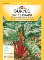 Burpee Rhubarb Swiss Chard