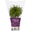 slide 2 of 5, True Goodness Organic Potted Thyme 4", 4 in