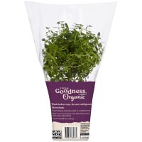 slide 5 of 5, True Goodness Organic Potted Thyme 4", 4 in