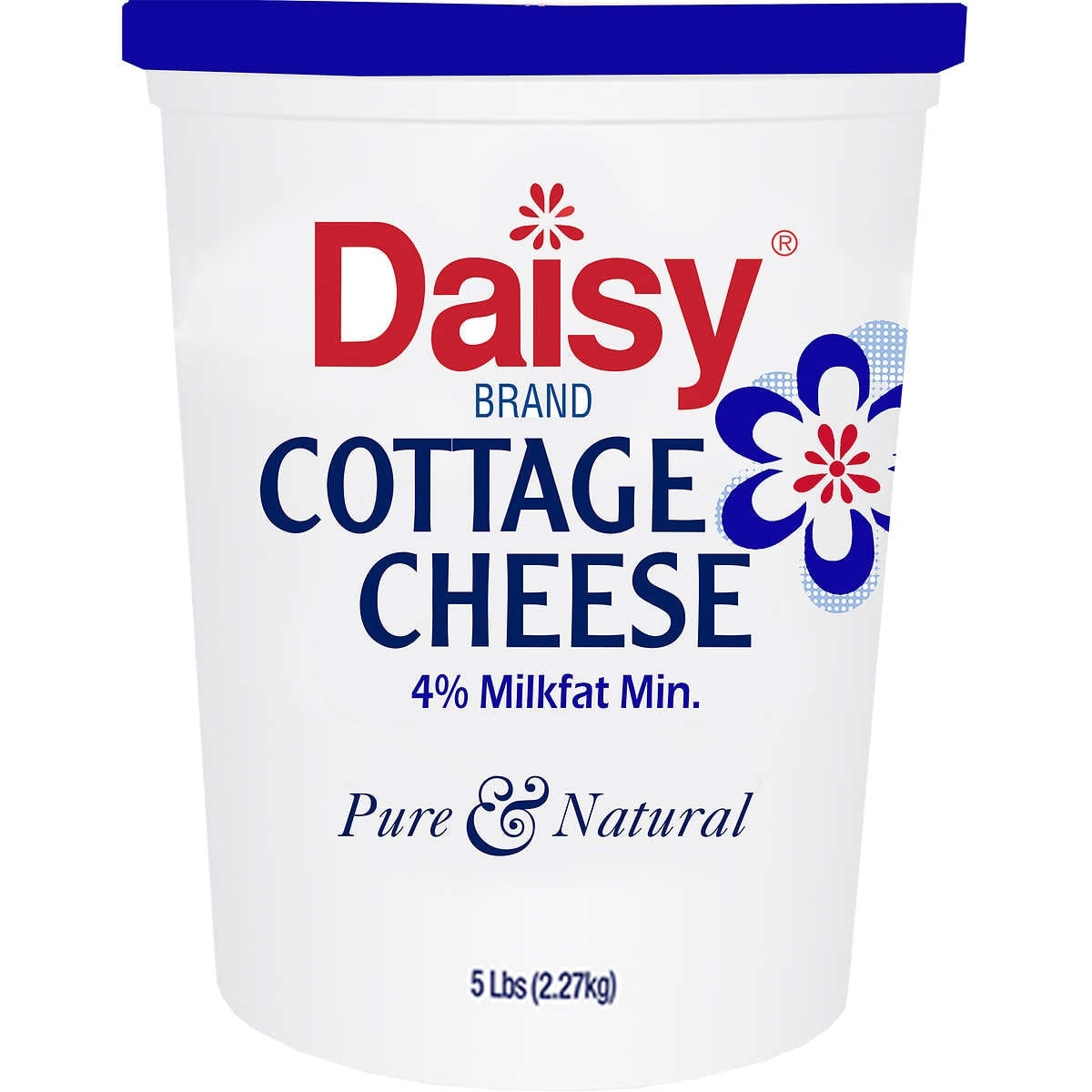 slide 1 of 1, Daisy Brand Inc Daisy 4% Cottage Cheese, 80 oz
