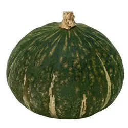 Produce Squash 1 ea